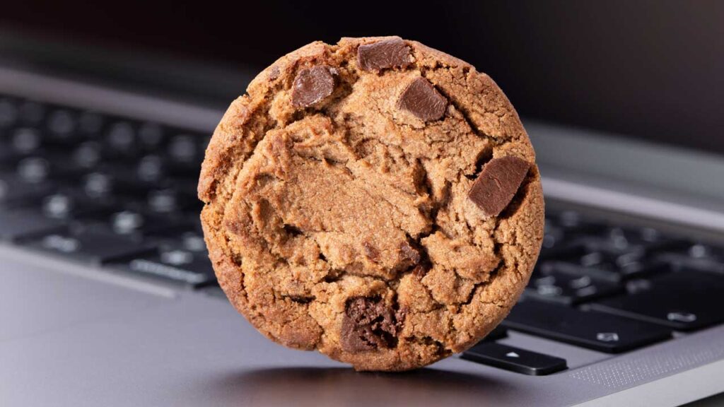 chocolate chip cookie