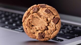 chocolate chip cookie