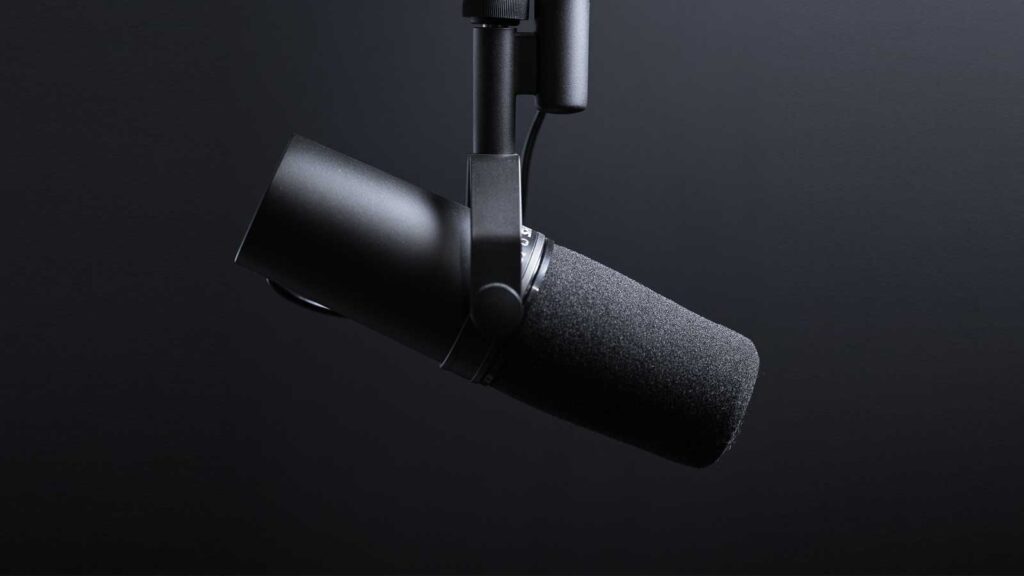 pro audio microphone