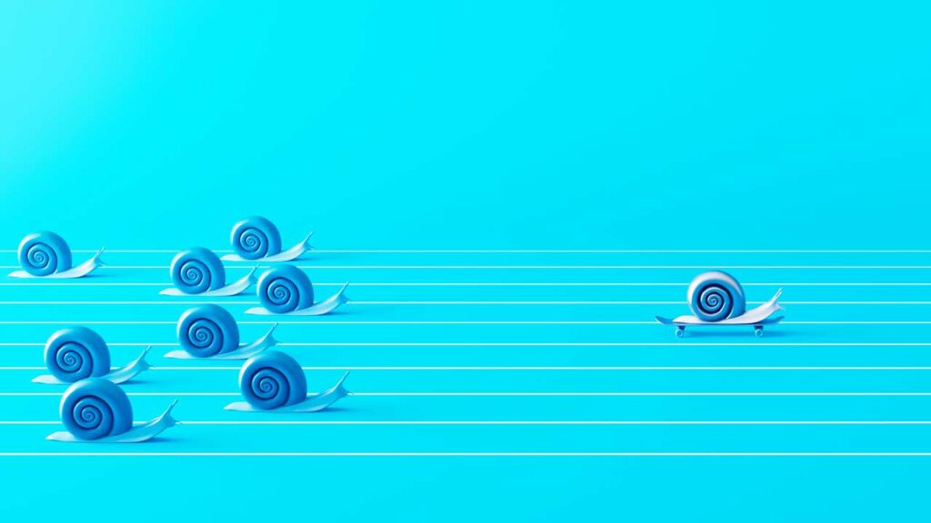 snails racing