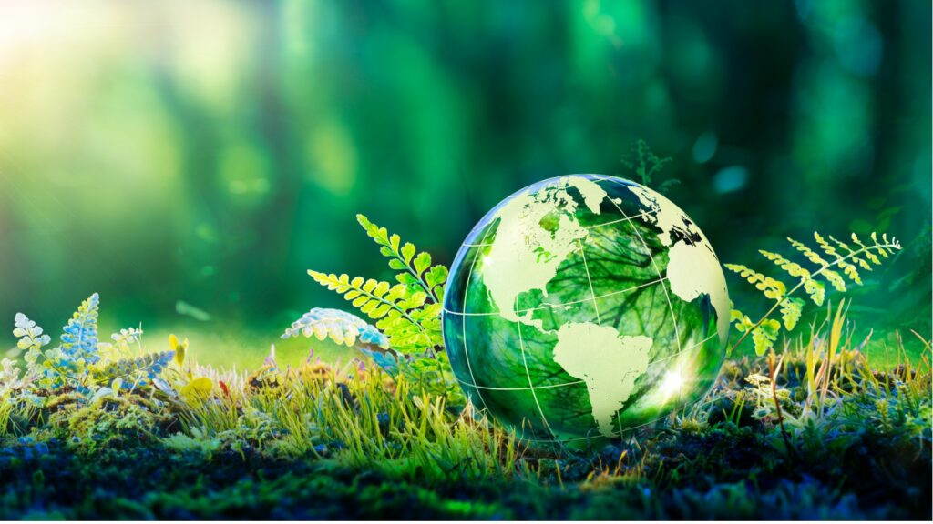 crystal globe on moss