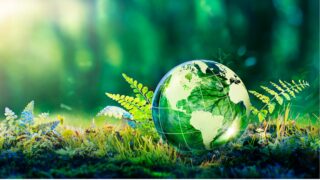 crystal globe on moss
