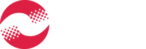 dt_white-300x102-1