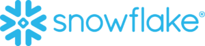 logo_snowflake