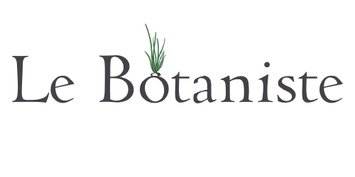 Food-and-Fringe-Logos-V2-01